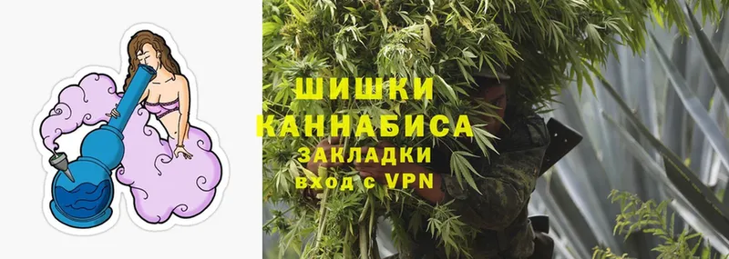 где найти наркотики  Новотроицк  Марихуана Ganja 